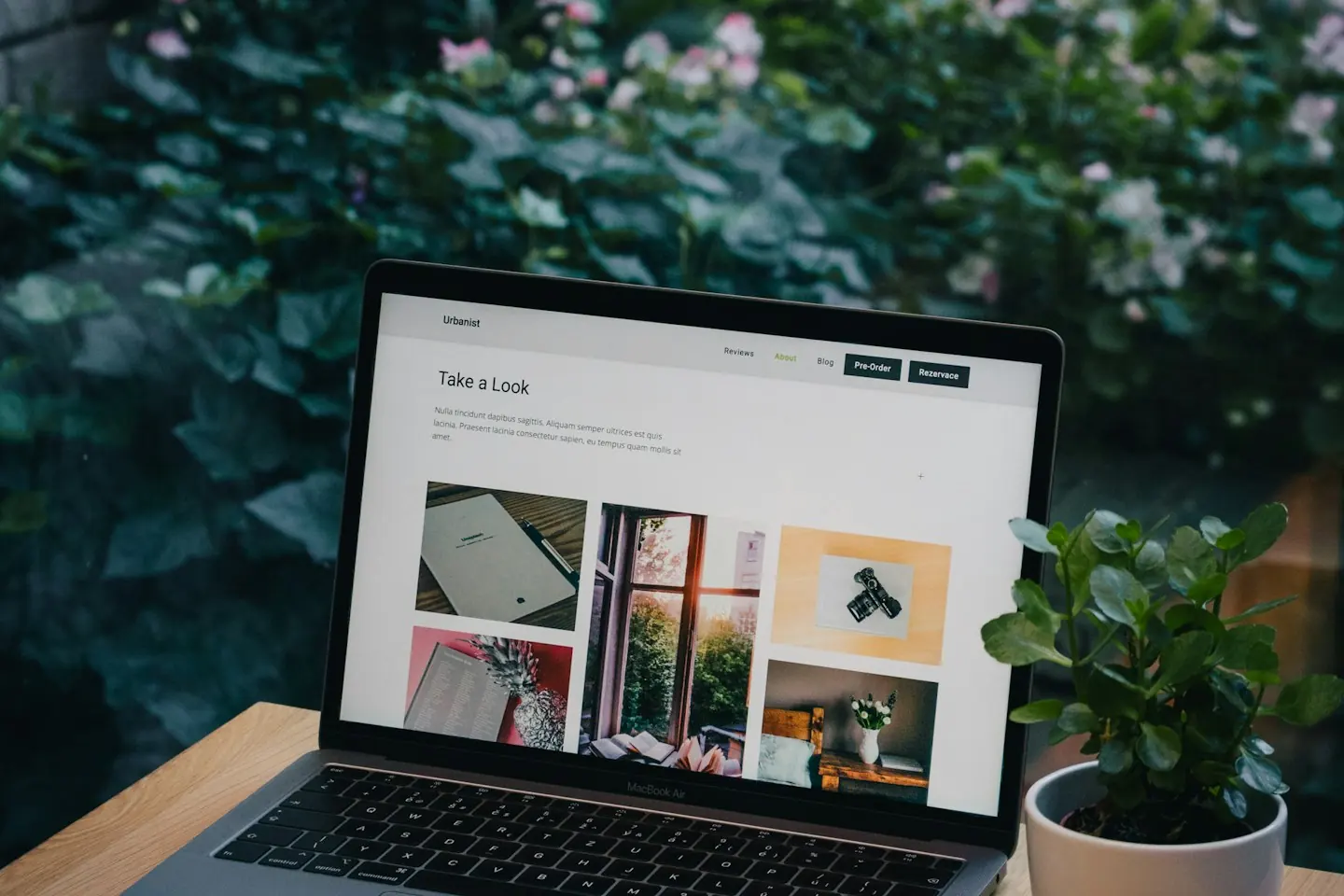 Ordinateur portable ouvert sur un site internet, posé sur une table en bois devant des plantes
