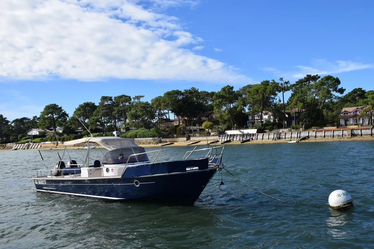 Un bateau au mouillage sur le bassin d’Arcachon, devant les pins de la rive