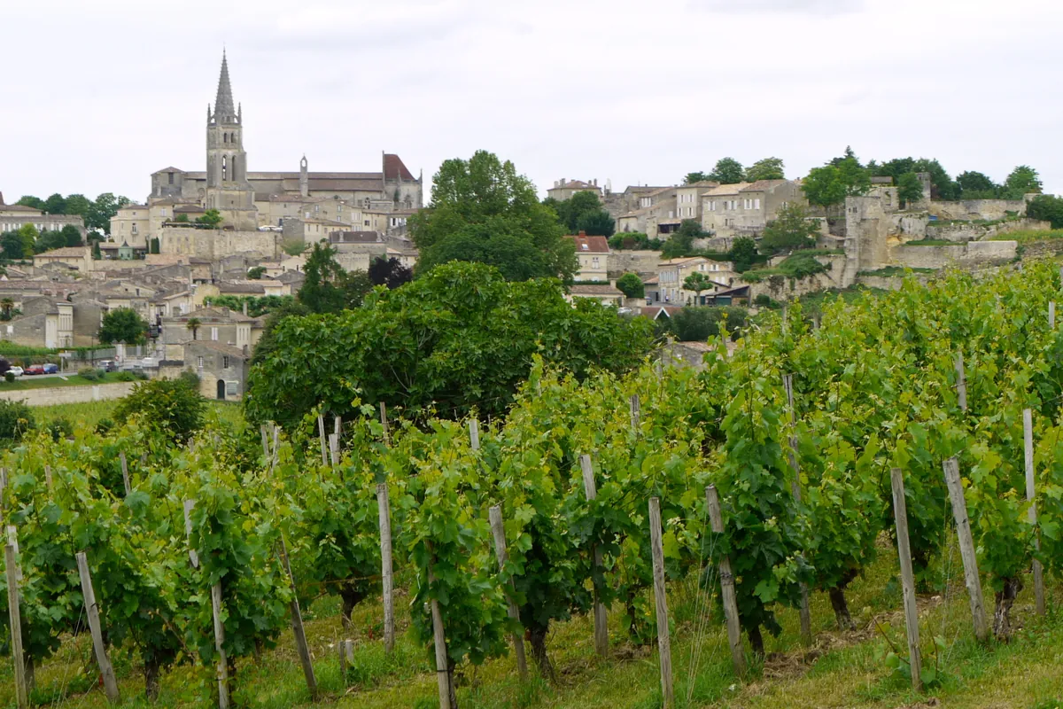 Le village de Saint-Émilion et son clocher, au-dessus des rangs de vigne