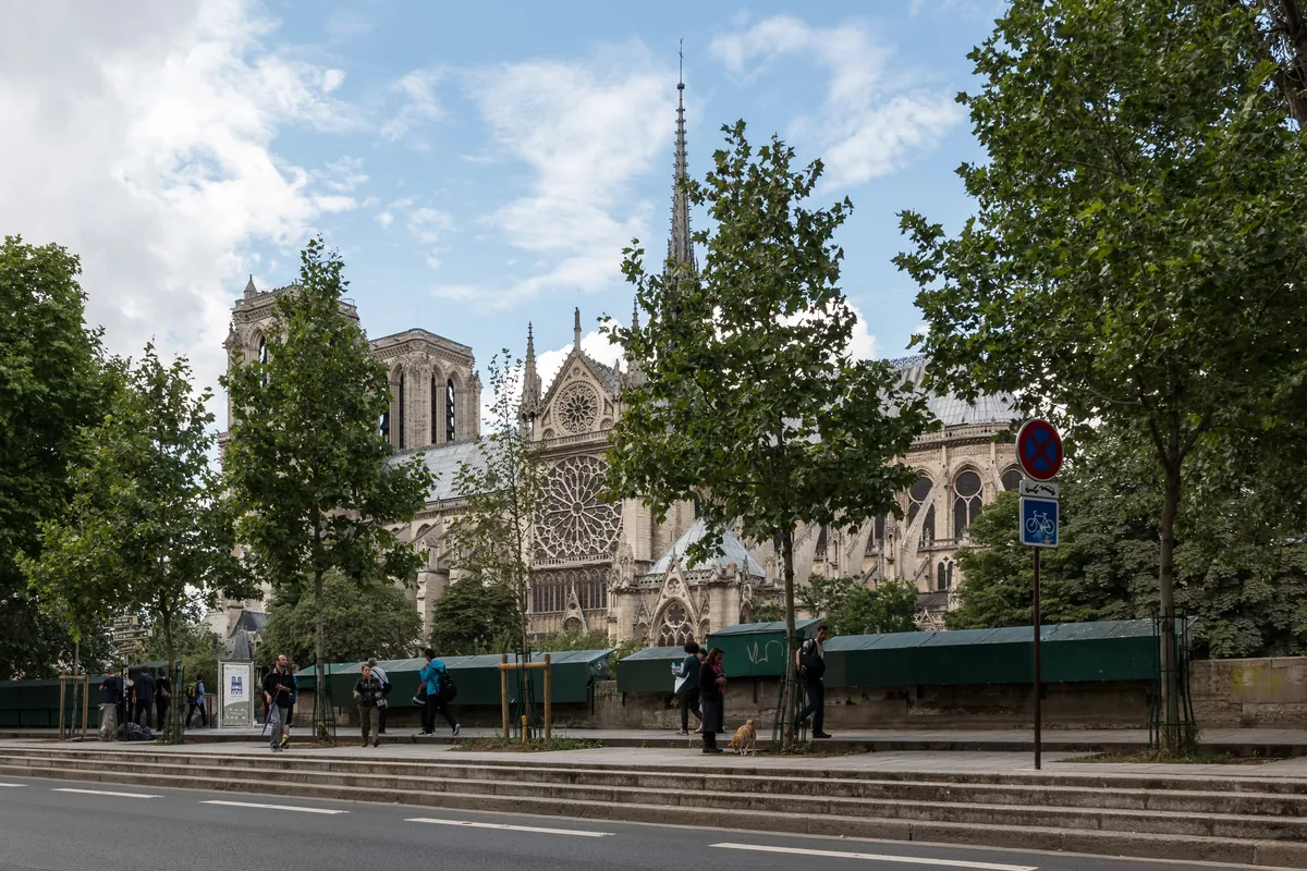 La cathédrale Notre-Dame de Paris vue depuis les quais de Seine, derrière les arbres